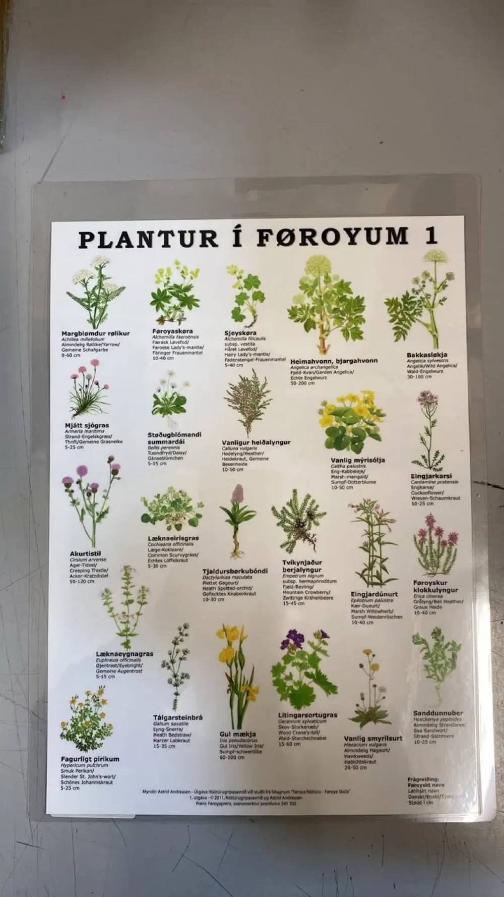 PLANTUR Í FØ. 1 - A4 LAM.
