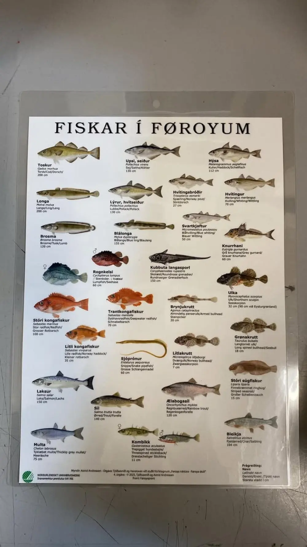 FISKAR Í FØROYUM - A4 LAM.