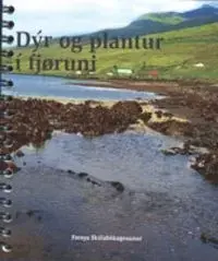 Dýr og plantur í fjøruni