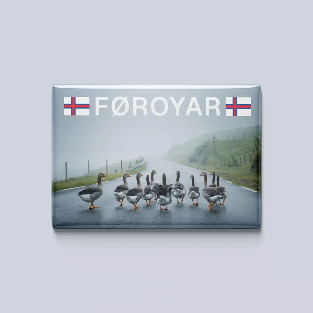 Føroyar - gæs, magnet