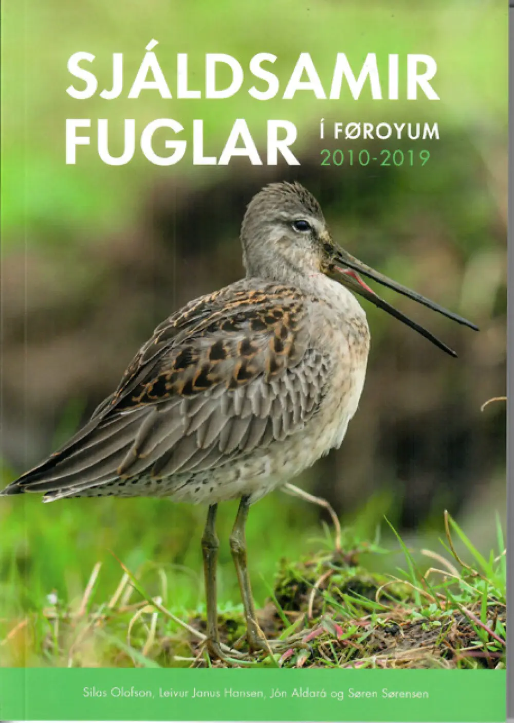 SJÁLDSAMIR FUGLAR
